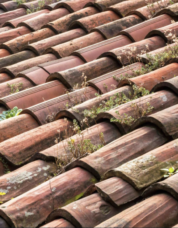 Typical Roof Weaknesses